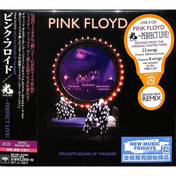 Delicate Sound Of Thunder (Japan Limited Edition) (2 Discs) | Pink Floyd